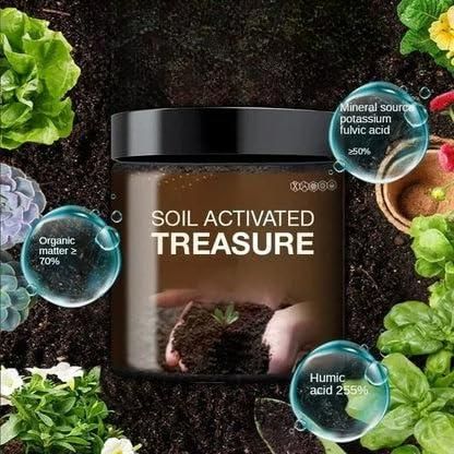Soil Activated Treasure Premium Soil Activator 200gram (Pack of 2) - Zaporia Store